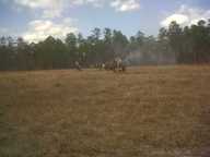 img00019-20110220-1330_thumb.jpg