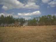 img00020-20110220-1331_thumb.jpg