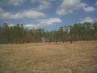 img00021-20110220-1335_thumb.jpg
