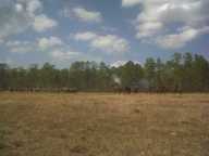 img00022-20110220-1336_thumb.jpg