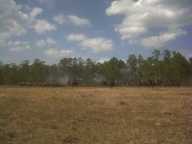 img00023-20110220-1337_thumb.jpg