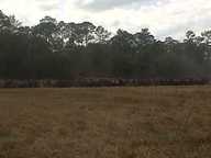 img00026-20110220-1401_thumb.jpg