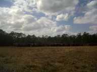 img00028-20110220-1402_thumb.jpg
