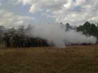 img00034-20110220-1407_thumb.jpg