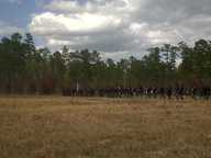img00037-20110220-1414_thumb.jpg