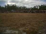 img00046-20110220-1423_thumb.jpg