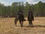 img00047-20110220-1435_thumb.jpg