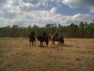 img00048-20110220-1435_thumb.jpg