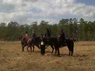 img00049-20110220-1435_thumb.jpg