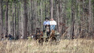img_0558_thumb.jpg