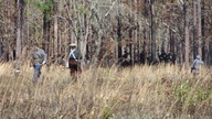 img_0602_thumb.jpg