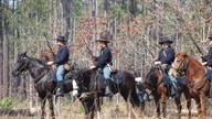 img_0789_thumb.jpg