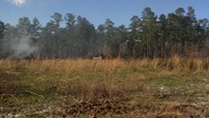 20130216_155034_thumb.jpg