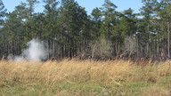 img_2980_thumb.jpg