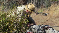 img_3567_thumb.jpg