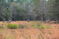 img_9187_thumb.jpg