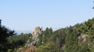 blackhills2_thumb.jpg