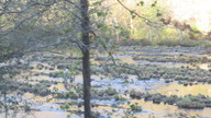 img_0689_thumb.jpg