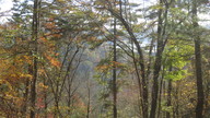 img_0756_thumb.jpg