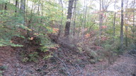 img_0804_thumb.jpg
