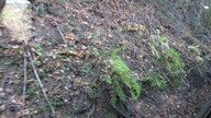 img_0831_thumb.jpg