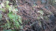 img_0833_thumb.jpg