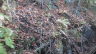 img_0834_thumb.jpg