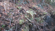 img_0835_thumb.jpg