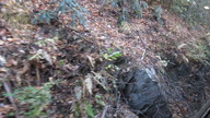 img_0838_thumb.jpg