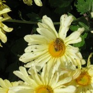 img_0497_thumb.jpg