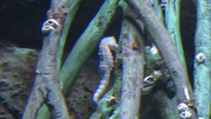 img_0543_thumb.jpg