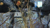 img_0547_thumb.jpg