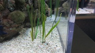 img_0550_thumb.jpg