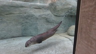 img_0558_thumb.jpg