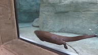 img_0560_thumb.jpg