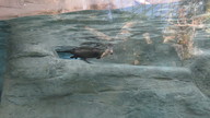 img_0567_thumb.jpg