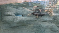 img_0571_thumb.jpg