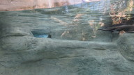 img_0576_thumb.jpg