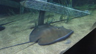 img_0589_thumb.jpg