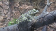 img_0594_thumb.jpg