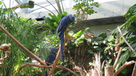 img_0595_thumb.jpg