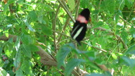 img_0612_thumb.jpg