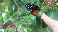 img_0613_thumb.jpg