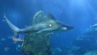 img_0625_thumb.jpg