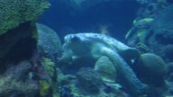 img_0627_thumb.jpg