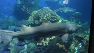 img_0628_thumb.jpg