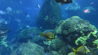 img_0630_thumb.jpg
