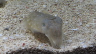 img_0638_thumb.jpg