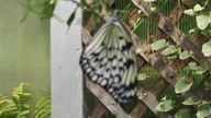 img_1395_thumb.jpg