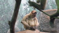 img_1563_thumb.jpg